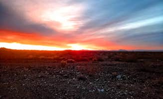 Michael S.'s photo of a dispersed camping area at BLM dispersed camping spur at MP 133.8 near Earp, CA