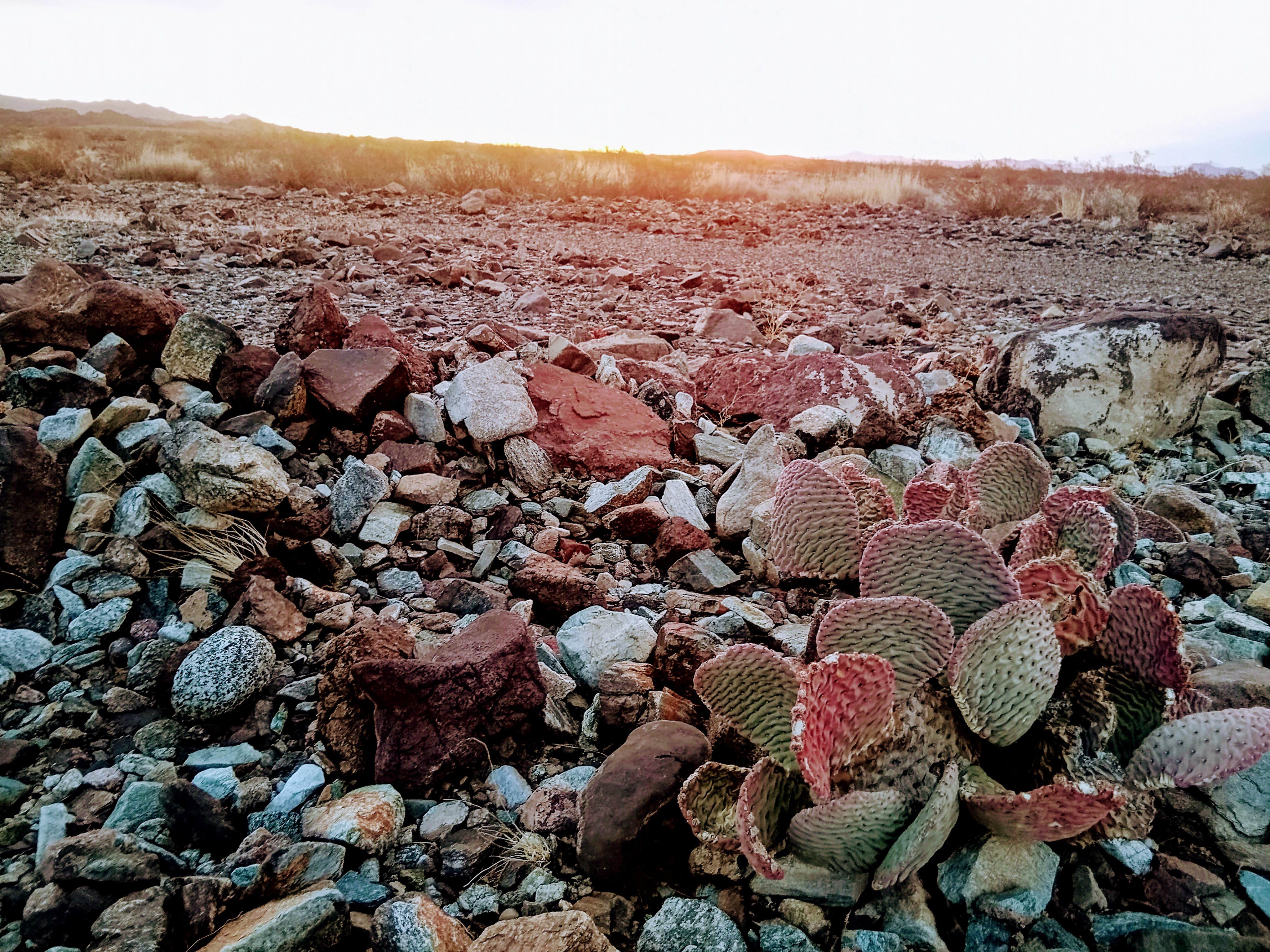 Camper-submitted photo at BLM dispersed camping spur at MP 133.8 near Lake Havasu City, AZ