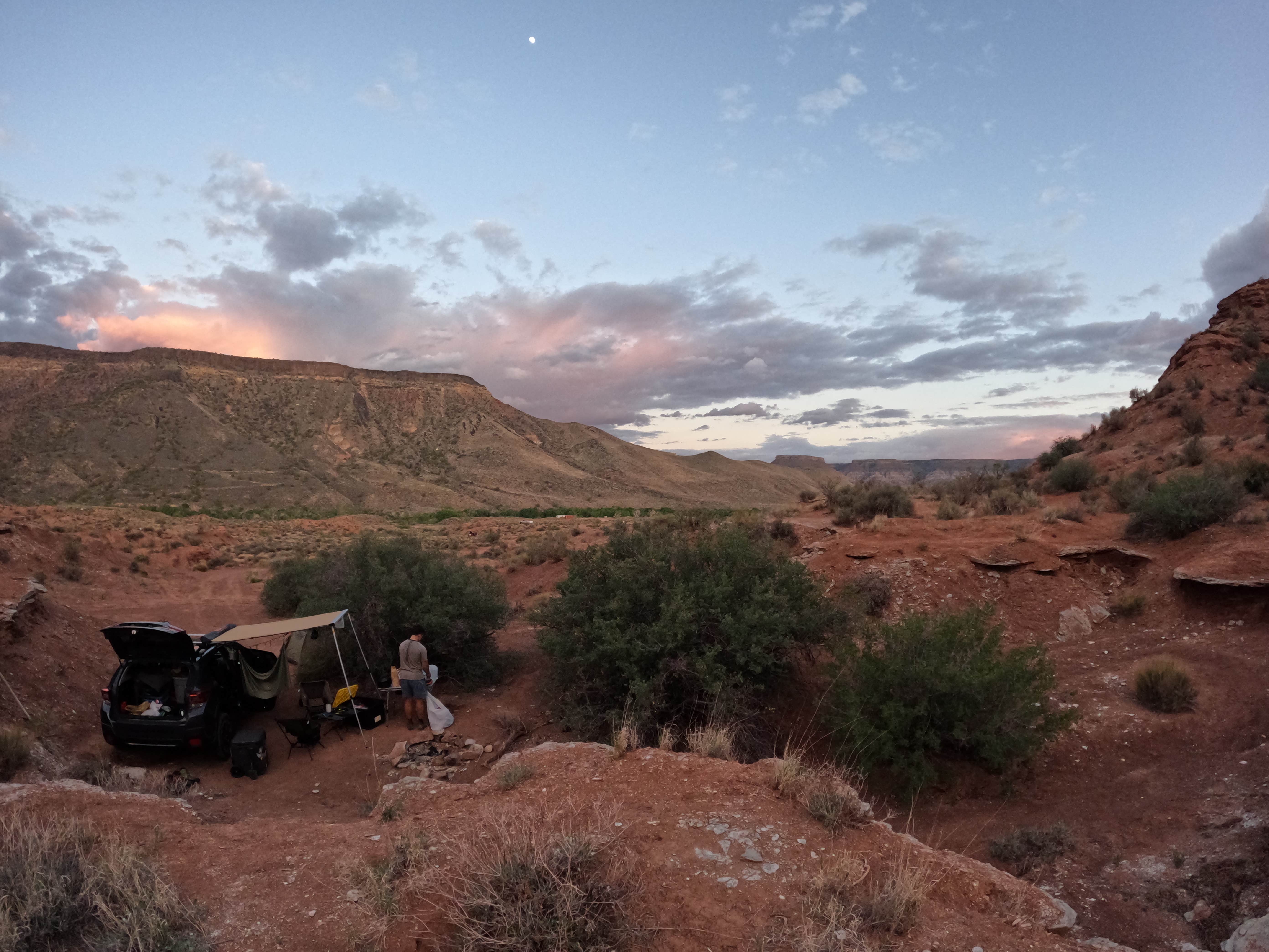 sara M.'s photo of a dispersed camping area at Kolob Road BLM Dispersed near Springdale, UT
