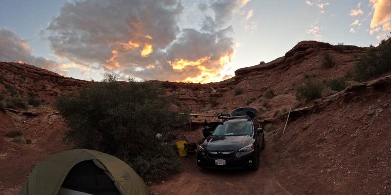 Camper submitted image from Kolob Road BLM Dispersed