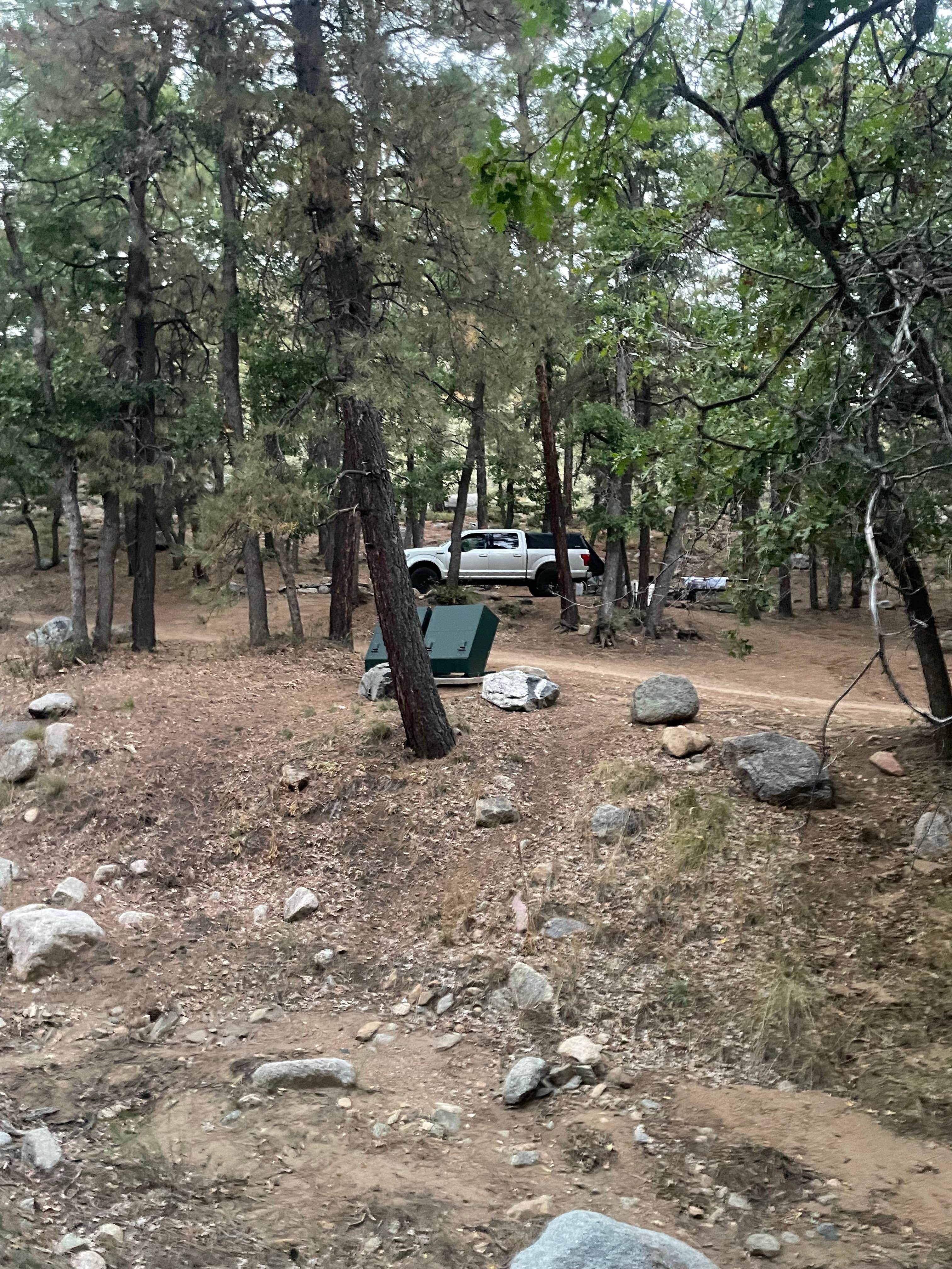 Camper-submitted photo at BLM Wild Cow Springs Recreation Area near Kingman, AZ