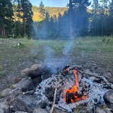 Review photo of Blodgett Campground by Sydne A., August 1, 2024