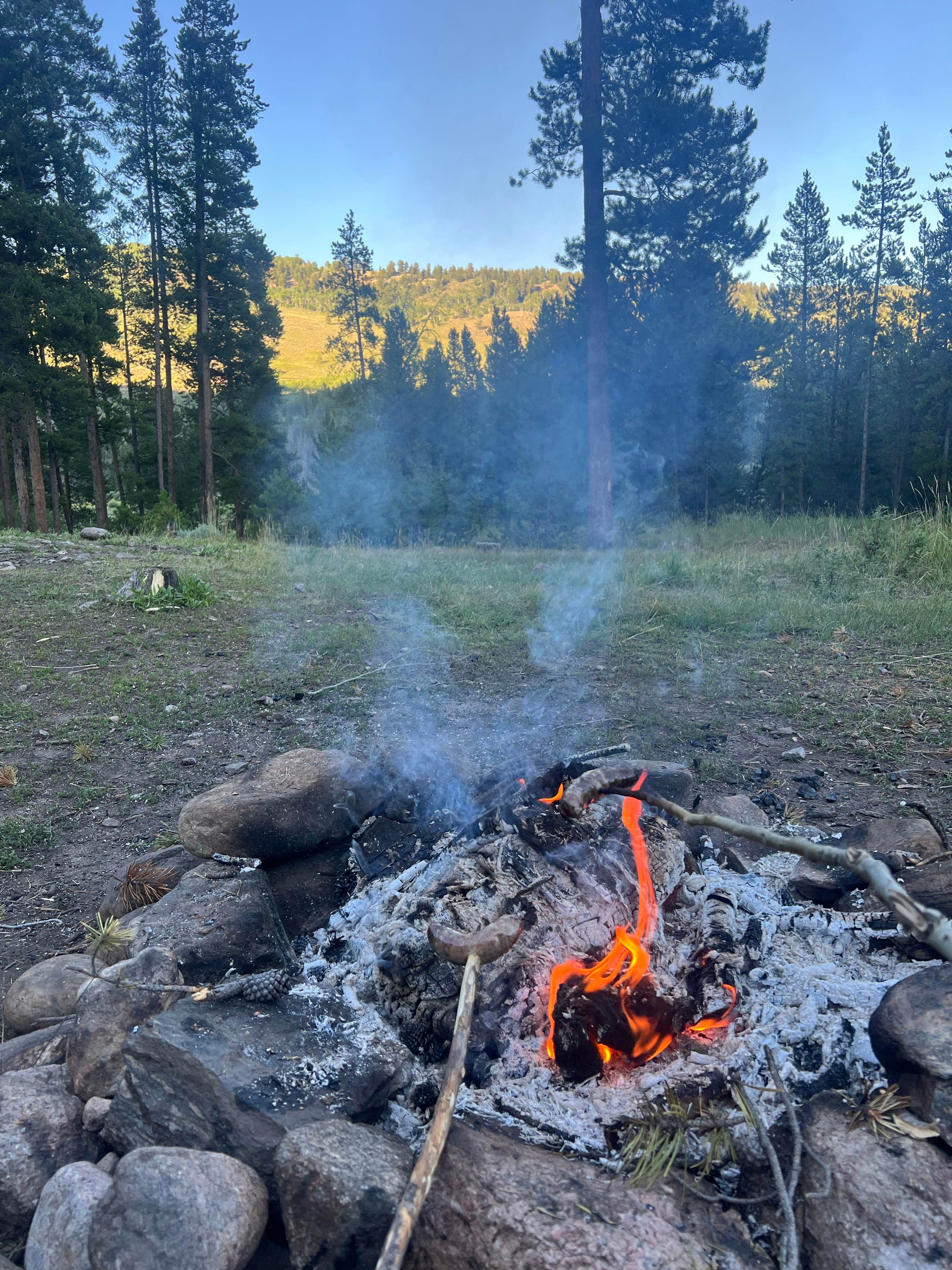 Camper submitted image from Blodgett Campground - 1