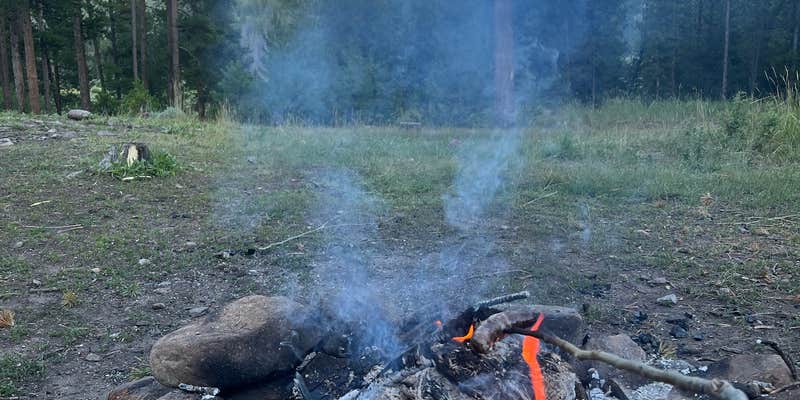 Camper submitted image from Blodgett Campground