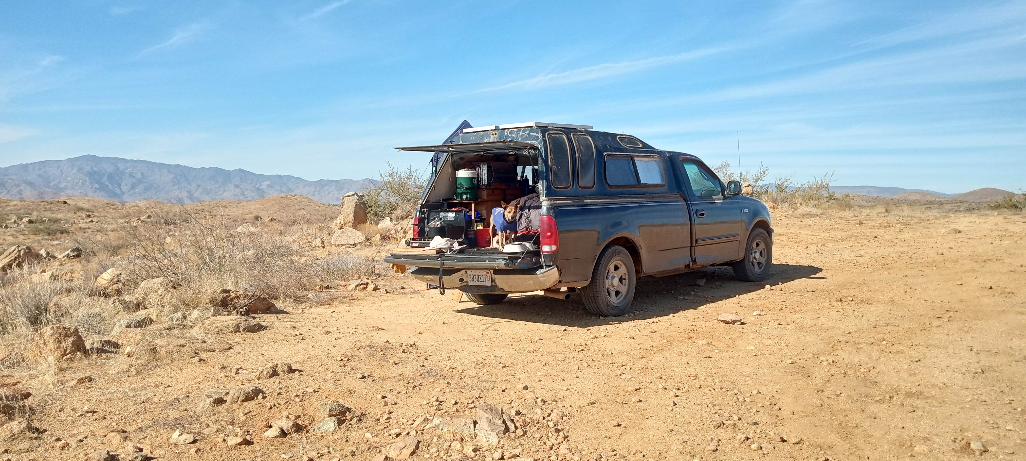 William M.'s photo of camping with pets at Bloody Basin Rd / Agua Fria NM Dispersed Camping near Crown King, AZ