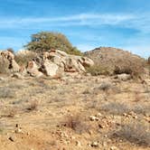 Review photo of Bloody Basin Rd / Agua Fria NM Dispersed Camping by William M., November 19, 2024