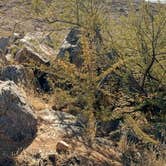 Review photo of Bloody Basin Rd / Agua Fria NM Dispersed Camping by William M., November 19, 2024