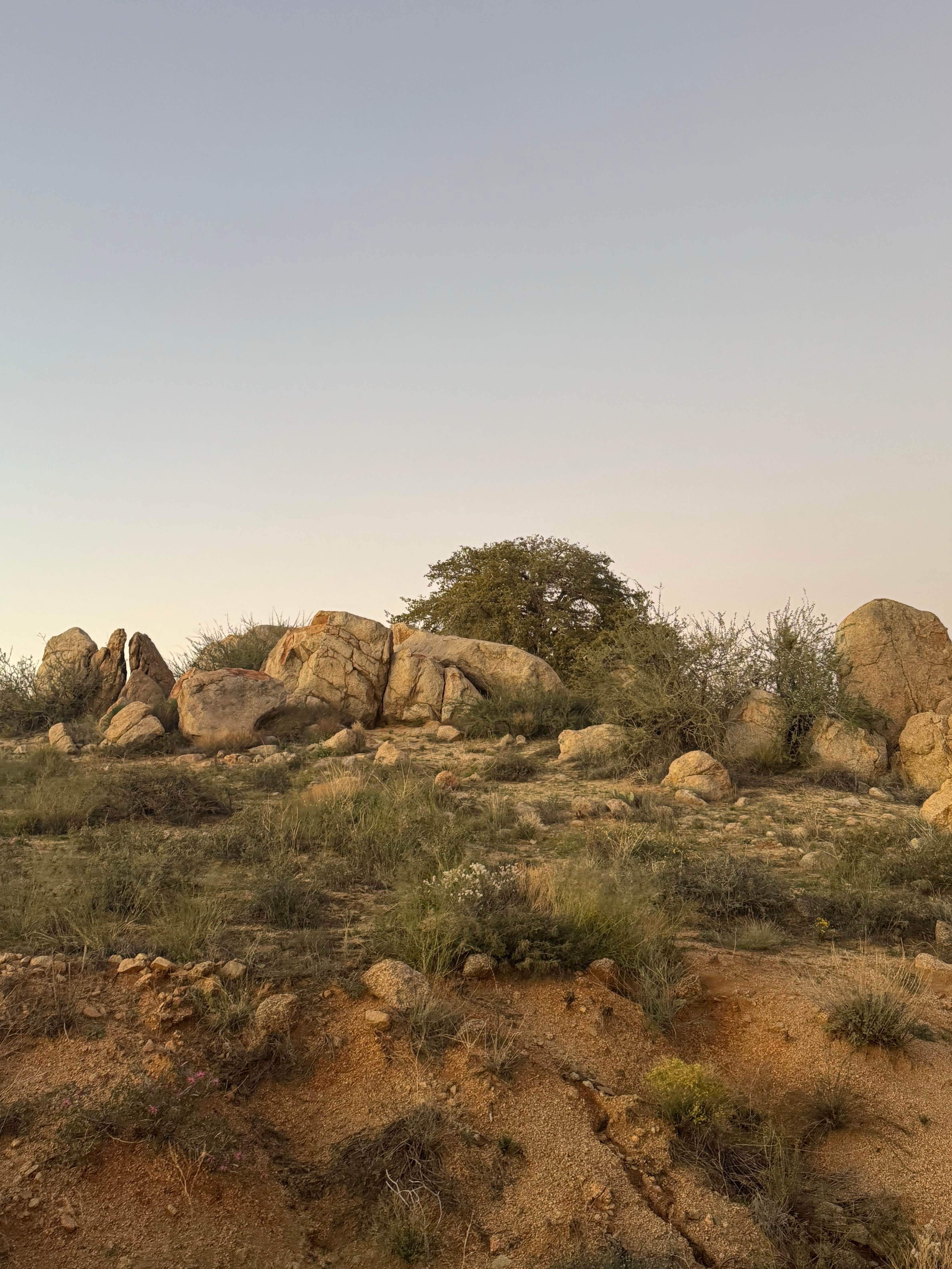 Camper-submitted photo at Bloody Basin Rd / Agua Fria NM Dispersed Camping near Mayer, AZ