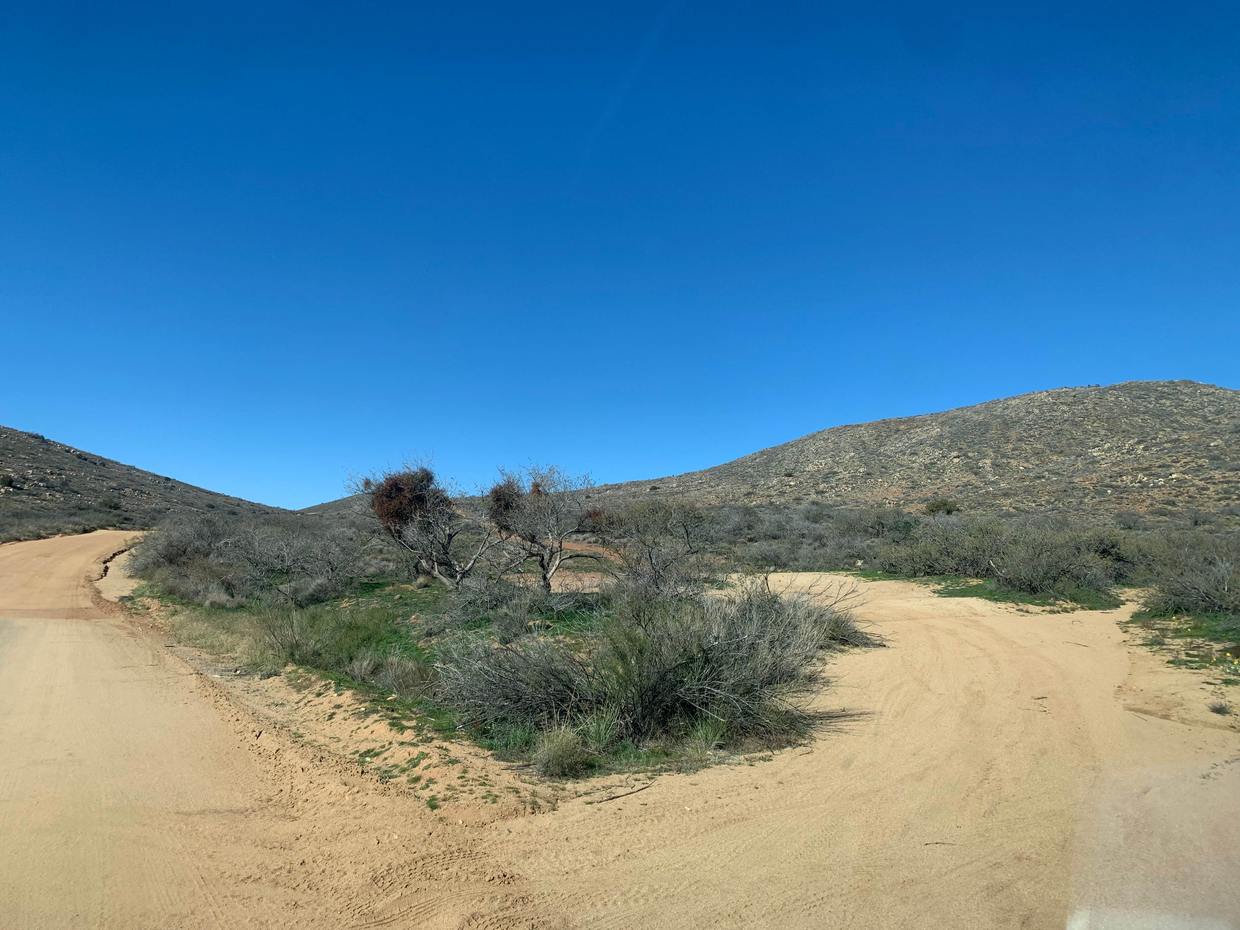 Camper submitted image from Bloody Basin Site 2 - 1