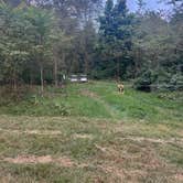 Review photo of Blooming Bus Farms by Ruby M., September 15, 2026