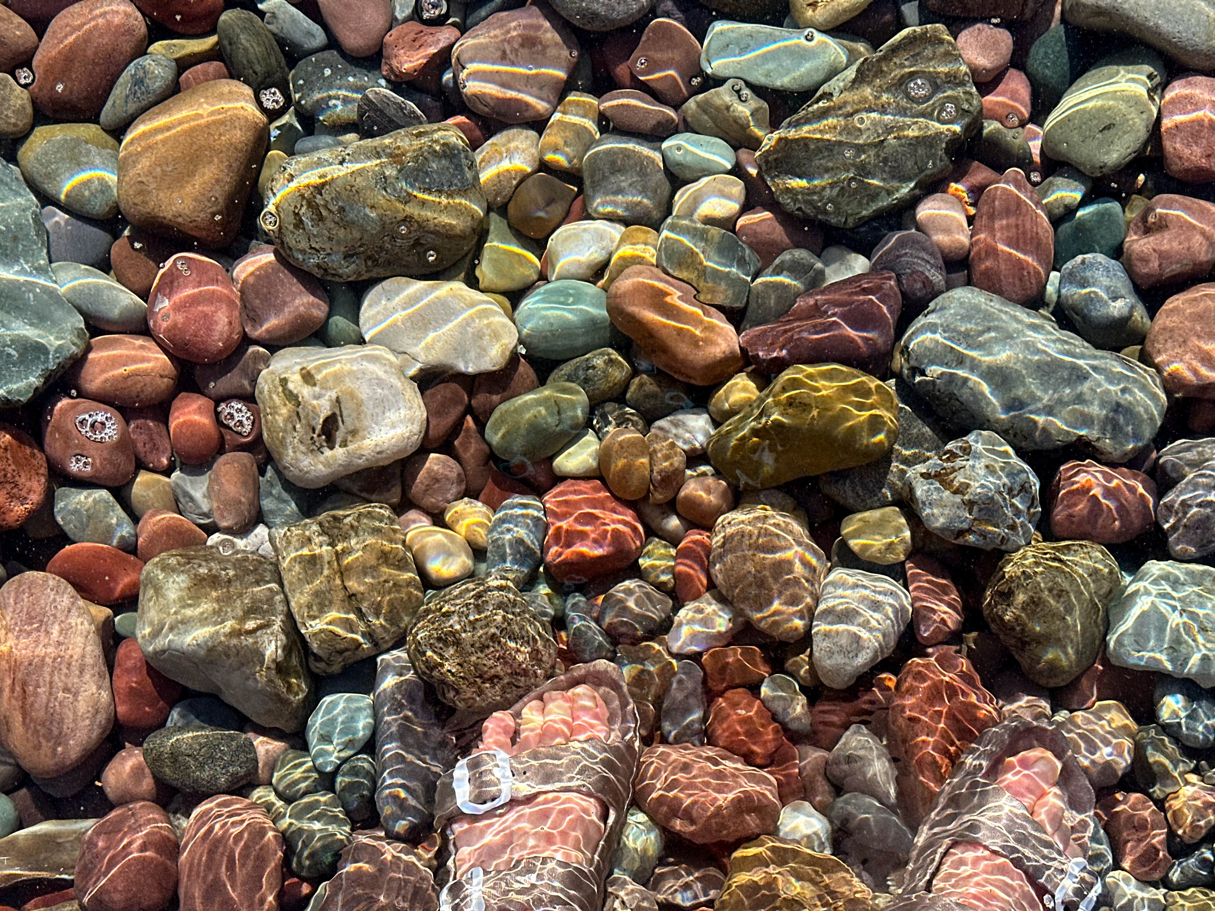 Camper-submitted photo at Blue Bay Campground near Dayton, MT