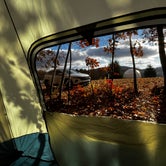 Review photo of Blue Bear Mountain Camp by Sergio M., October 30, 2023