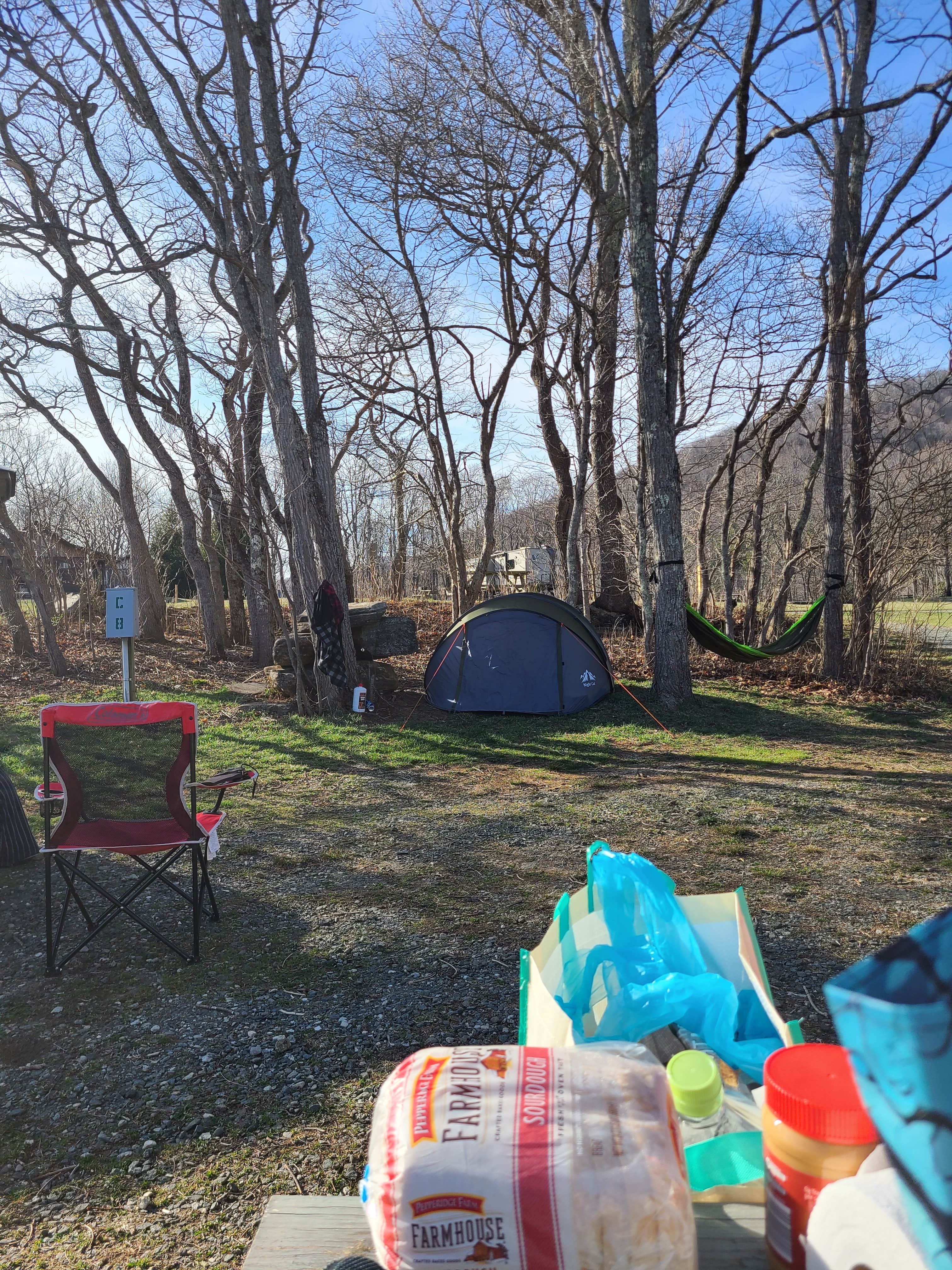 Raven B.'s photo of tent camping at Blue Bear Mountain Camp near Shady Valley, TN