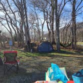 Review photo of Blue Bear Mountain Camp by Raven B., March 19, 2025