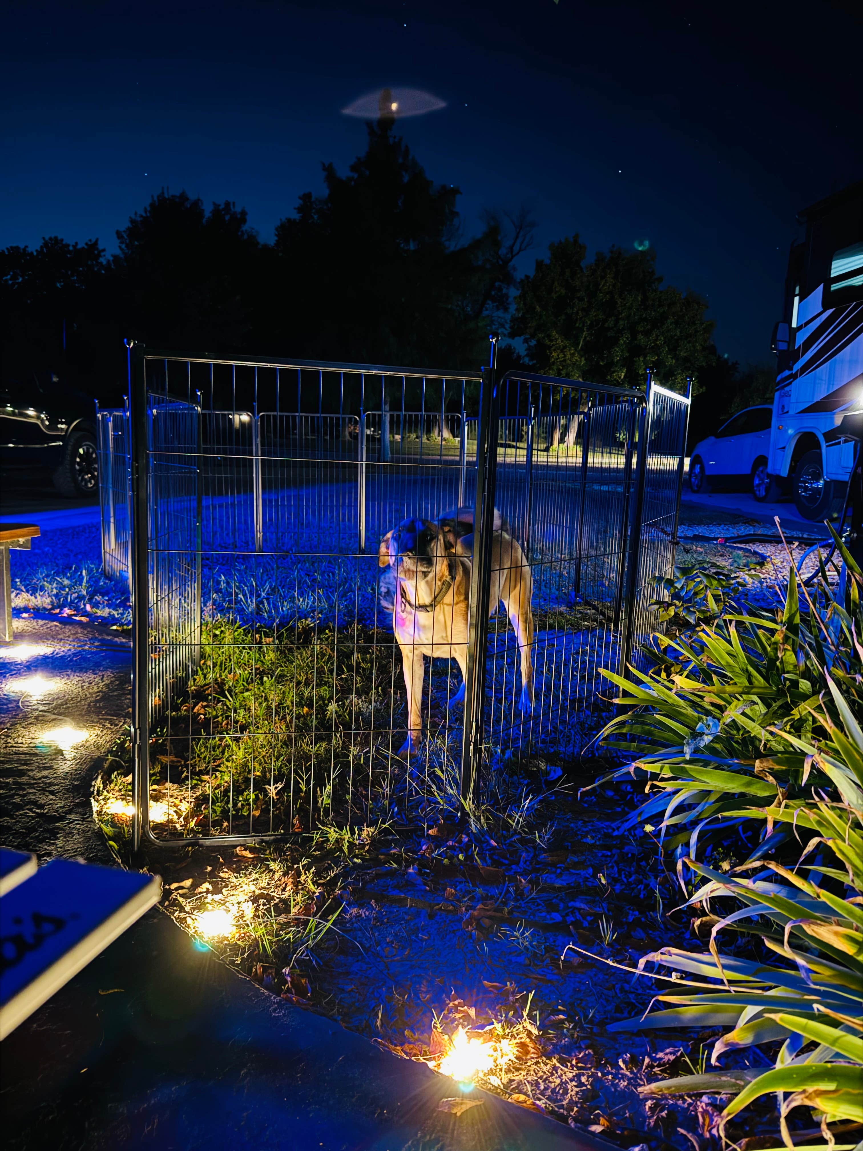 Camper-submitted photo at Blue Heron Campground near Norfork, AR