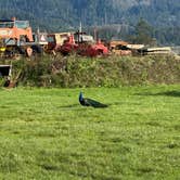 Review photo of Blue Heron Cheese Factory by Teresa A., December 30, 2025