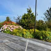 Review photo of Blue Heron Cheese Factory by Rea B., August 1, 2025