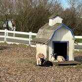 Review photo of Blue Heron Cheese Factory by Teresa A., December 30, 2025