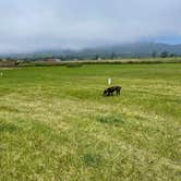 Review photo of Blue Heron Cheese Factory by Morgan S., June 20, 2024