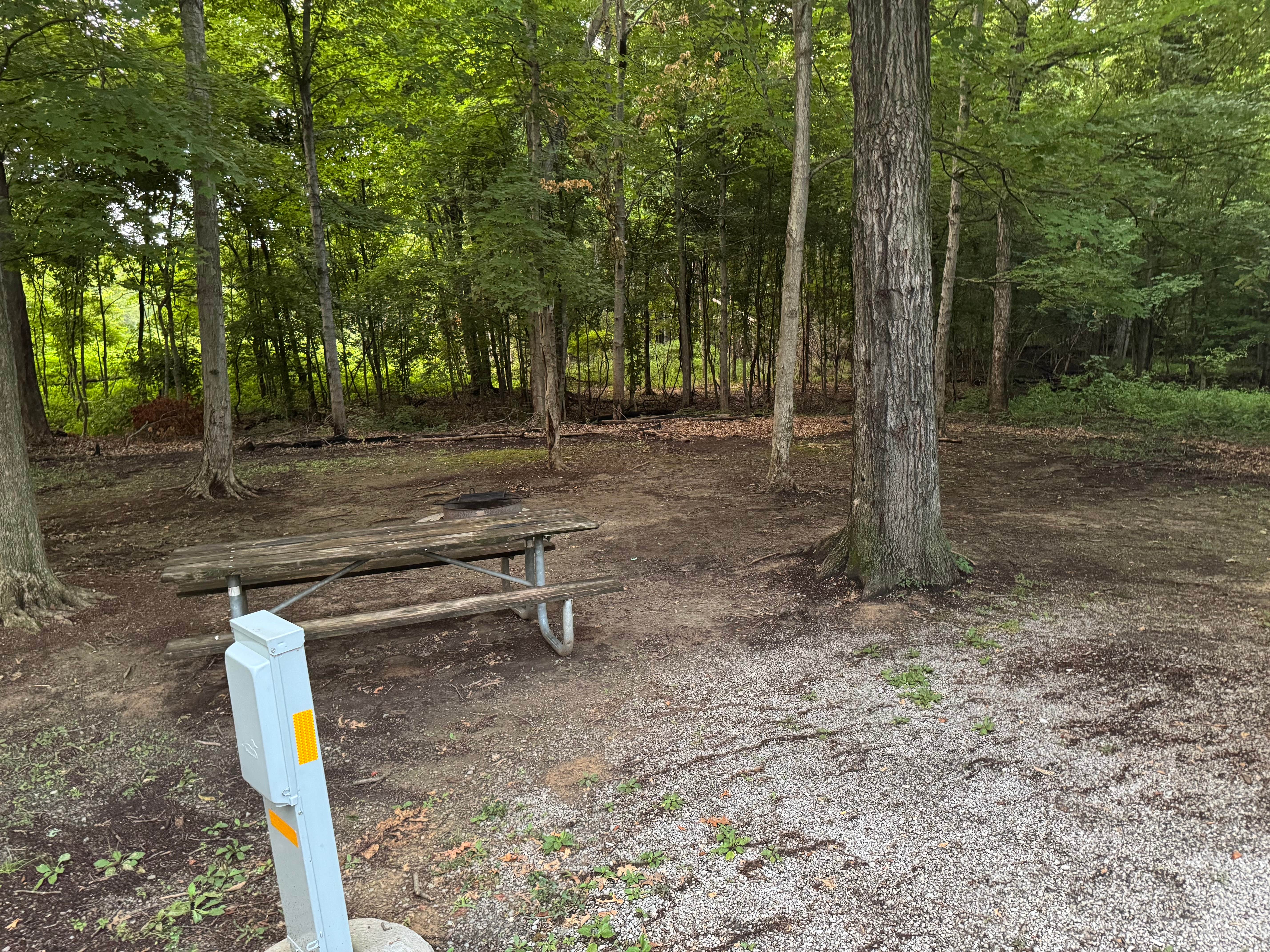 Camping near Little Grassy Lake Campground: Blue Heron Campground & Marina, Bargerville, Illinois