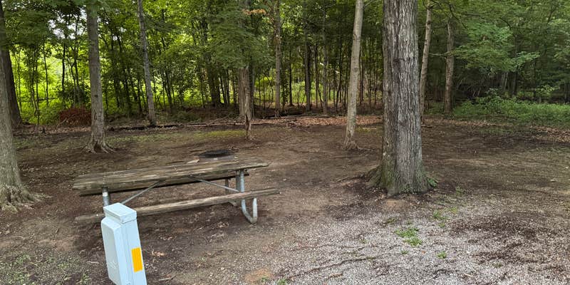 Camper submitted image from Blue Heron Campground & Marina