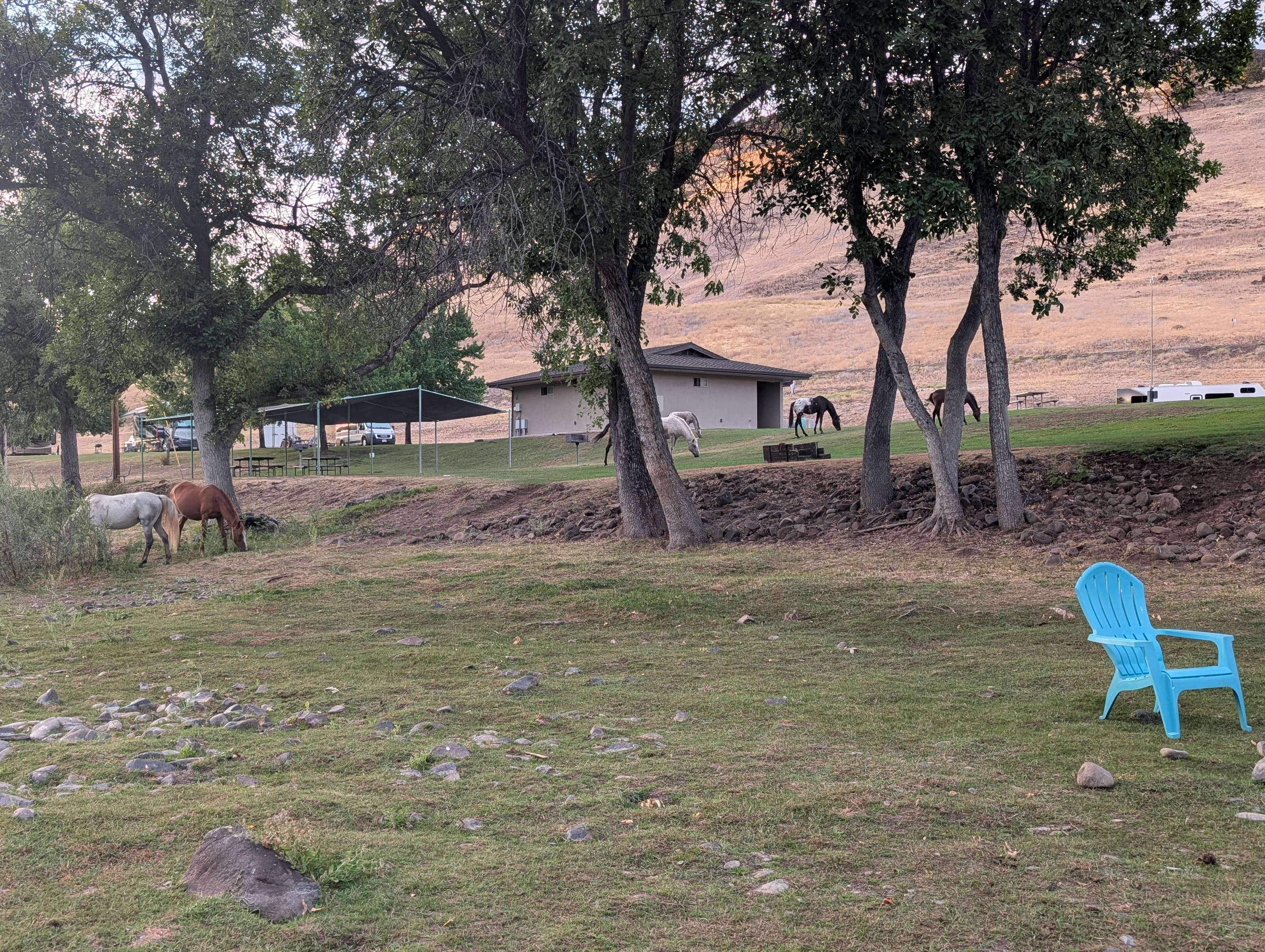 Camper-submitted photo at Lazy Horse RV Park near Yreka, CA