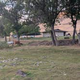Review photo of Lazy Horse RV Park by Casey , August 21, 2026