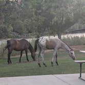 Review photo of Lazy Horse RV Park by Casey , August 21, 2026