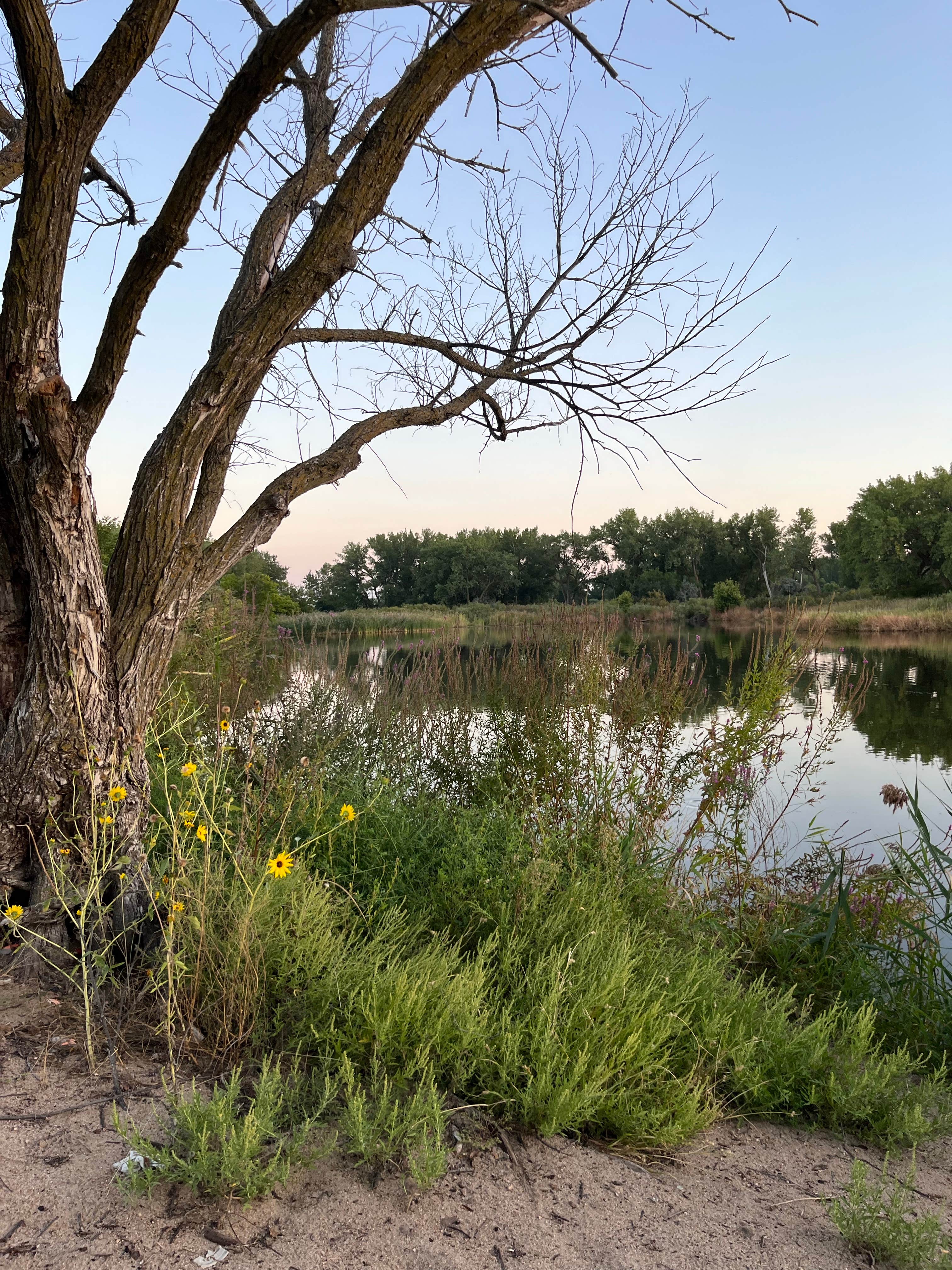 Camper-submitted photo at Blue Hole Wildlife Management Area in Nebraska