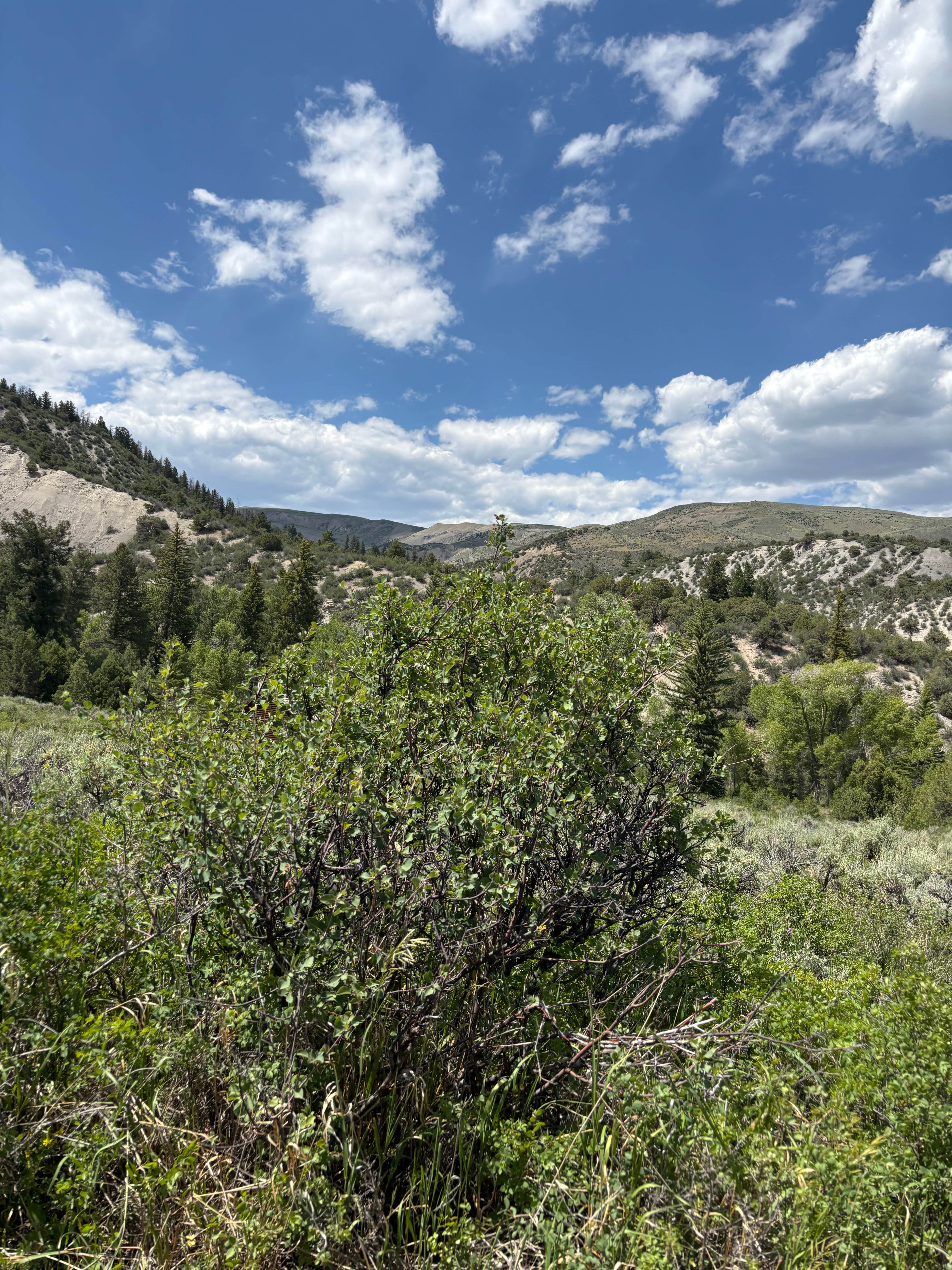 Camper-submitted photo at Blue Lake Camp near White River National Forest