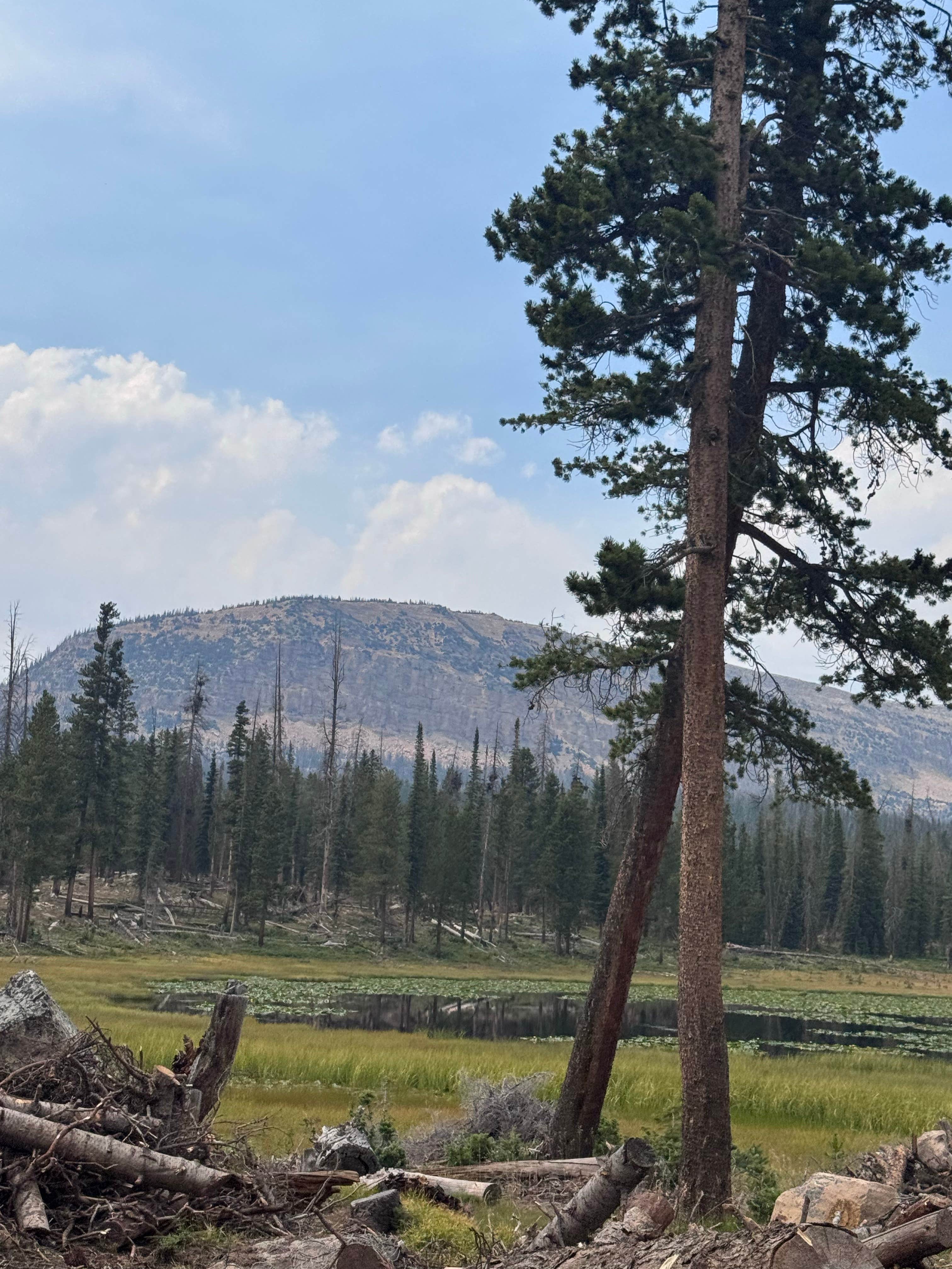 Camper-submitted photo at Blue Lake Loop Pond near Hanna, UT