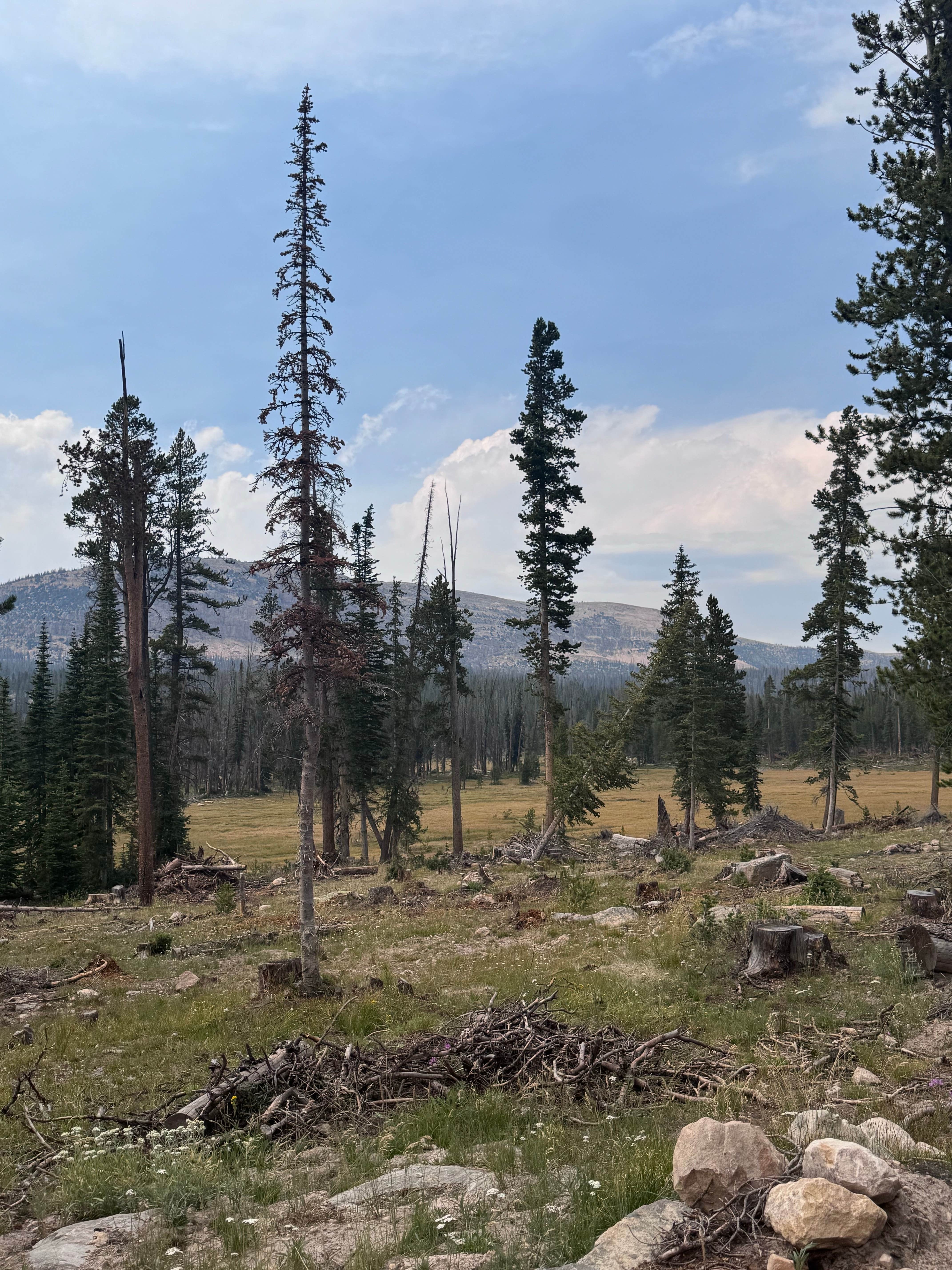 Camping near Pyramid Lake Dispersed Camping: Blue Lake Loop Pond, Kamas, Utah