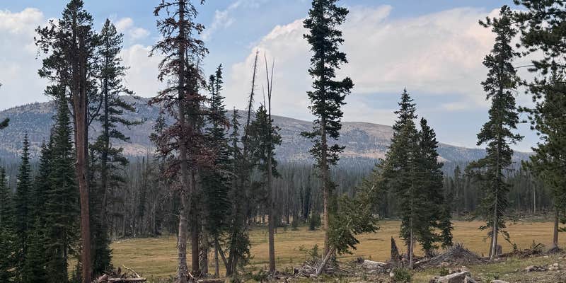 Camper submitted image from Blue Lake Loop Pond