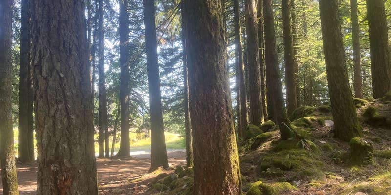 Camper submitted image from Blue Lake Road by Bridge of the Gods