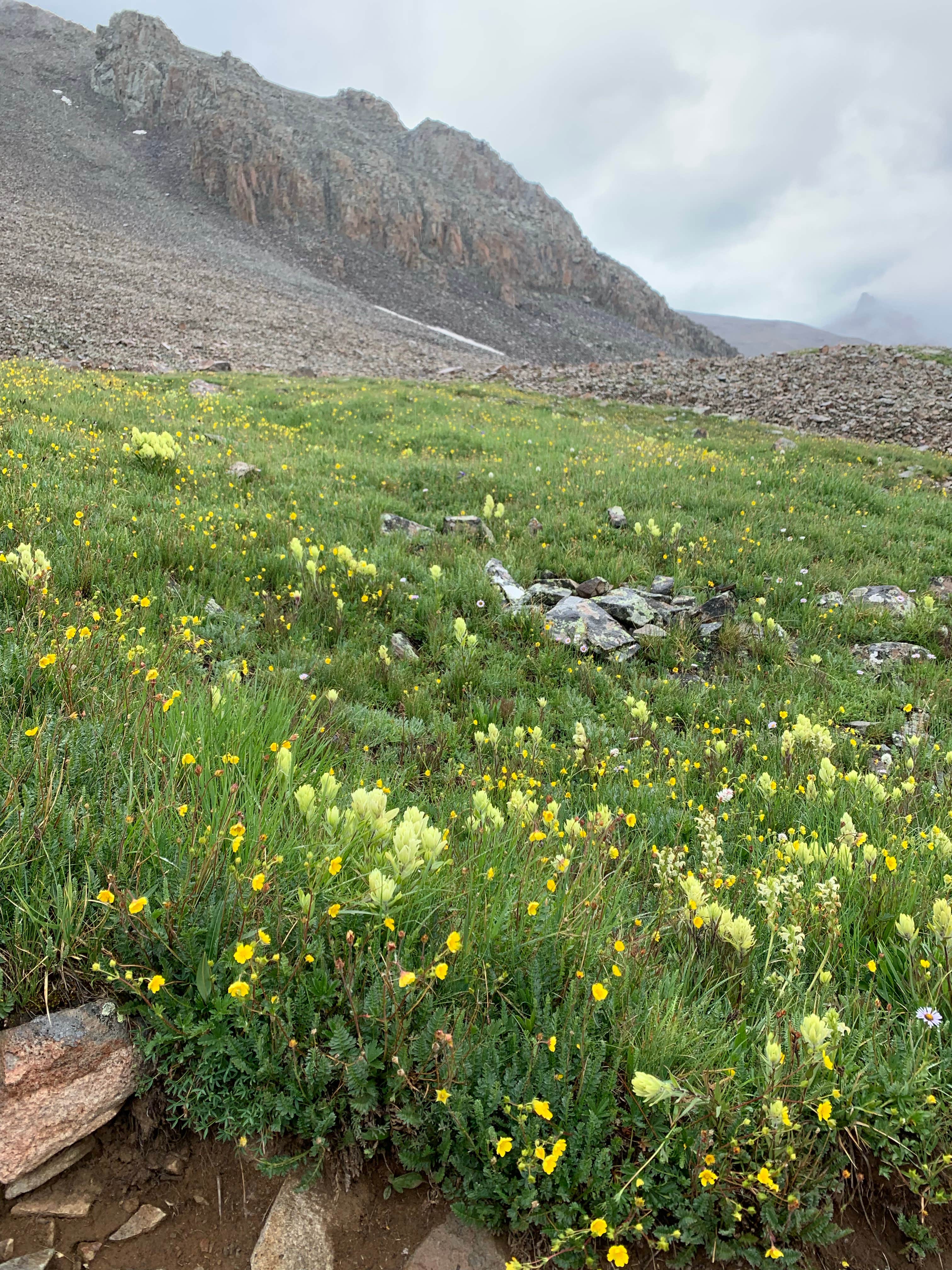 Camper-submitted photo at Blue Lakes Trailhead Dispersed near Ouray, CO