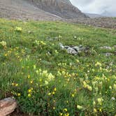 Review photo of Blue Lakes Trailhead Dispersed by Paulina B., December 15, 2024