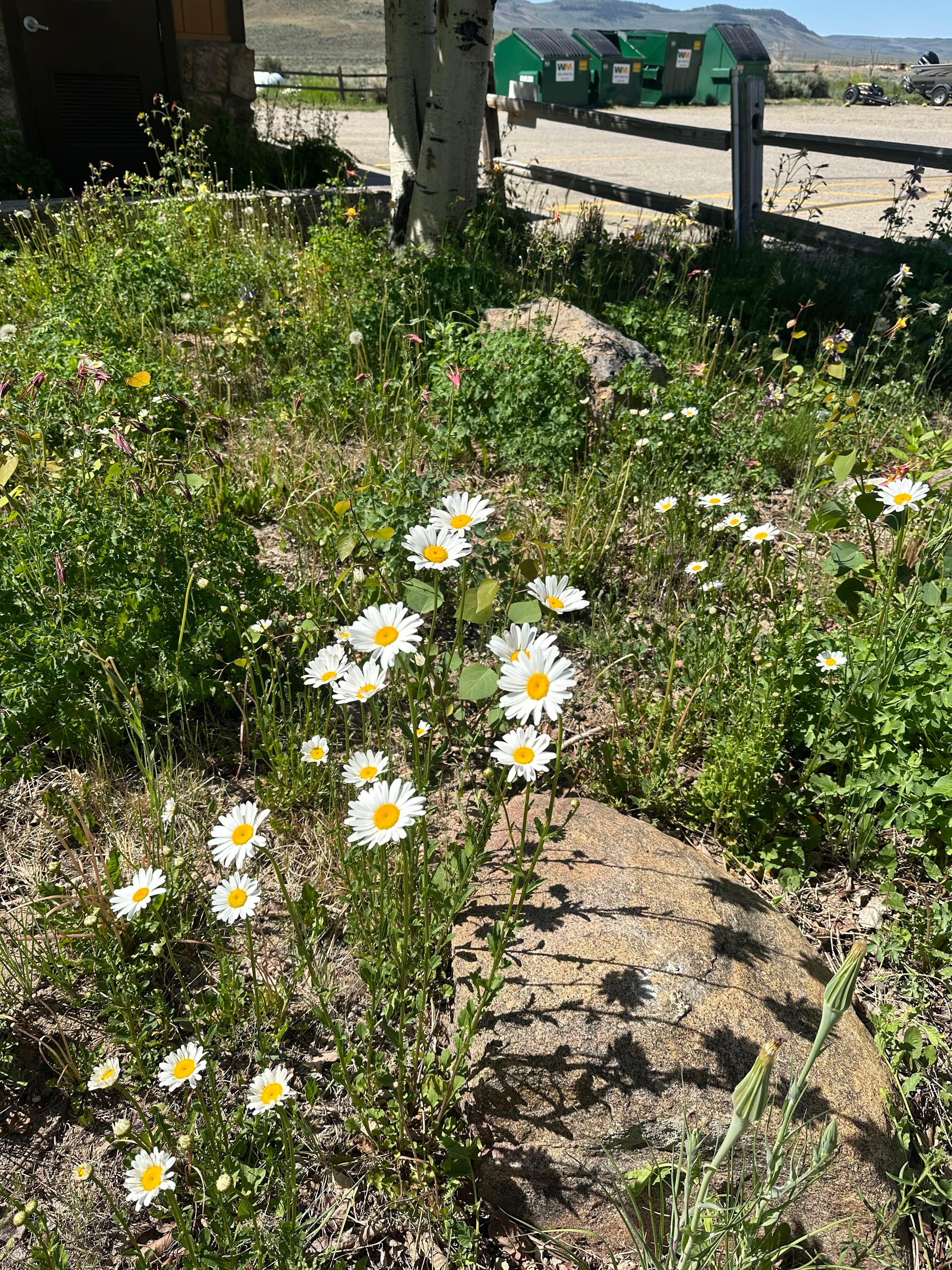 Camper-submitted photo at Blue Mesa Recreational Ranch near Austin, CO