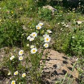 Review photo of Blue Mesa Recreational Ranch by Eliza S., June 13, 2025
