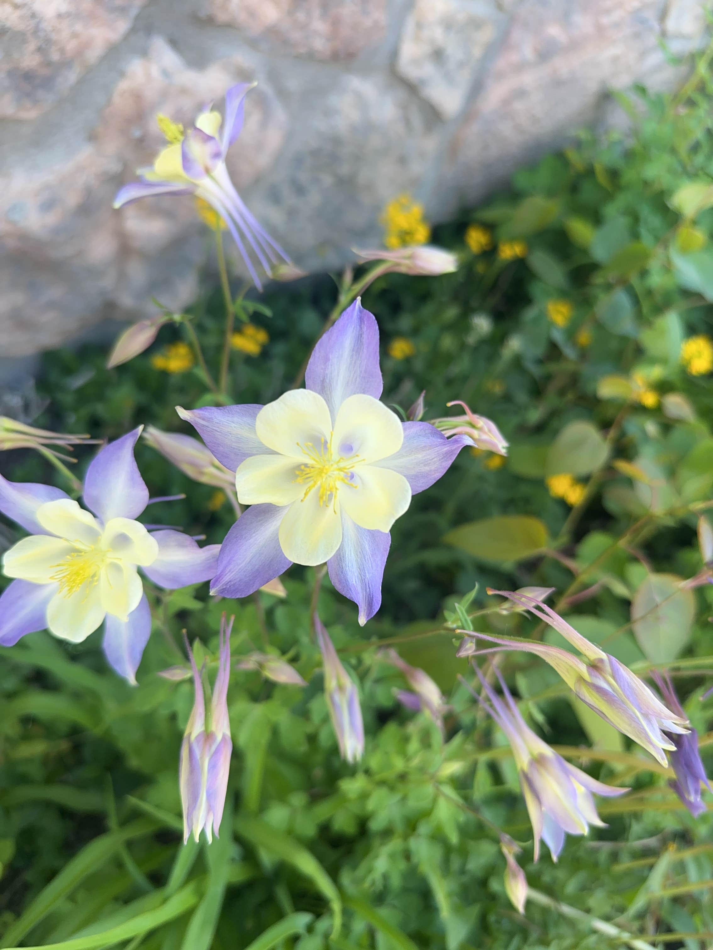 Camper-submitted photo at Blue Mesa Recreational Ranch near Austin, CO