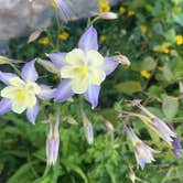 Review photo of Blue Mesa Recreational Ranch by Eliza S., June 13, 2025