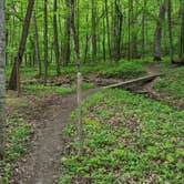 Review photo of Blue Mound State Park Campground by Jay W., June 17, 2026