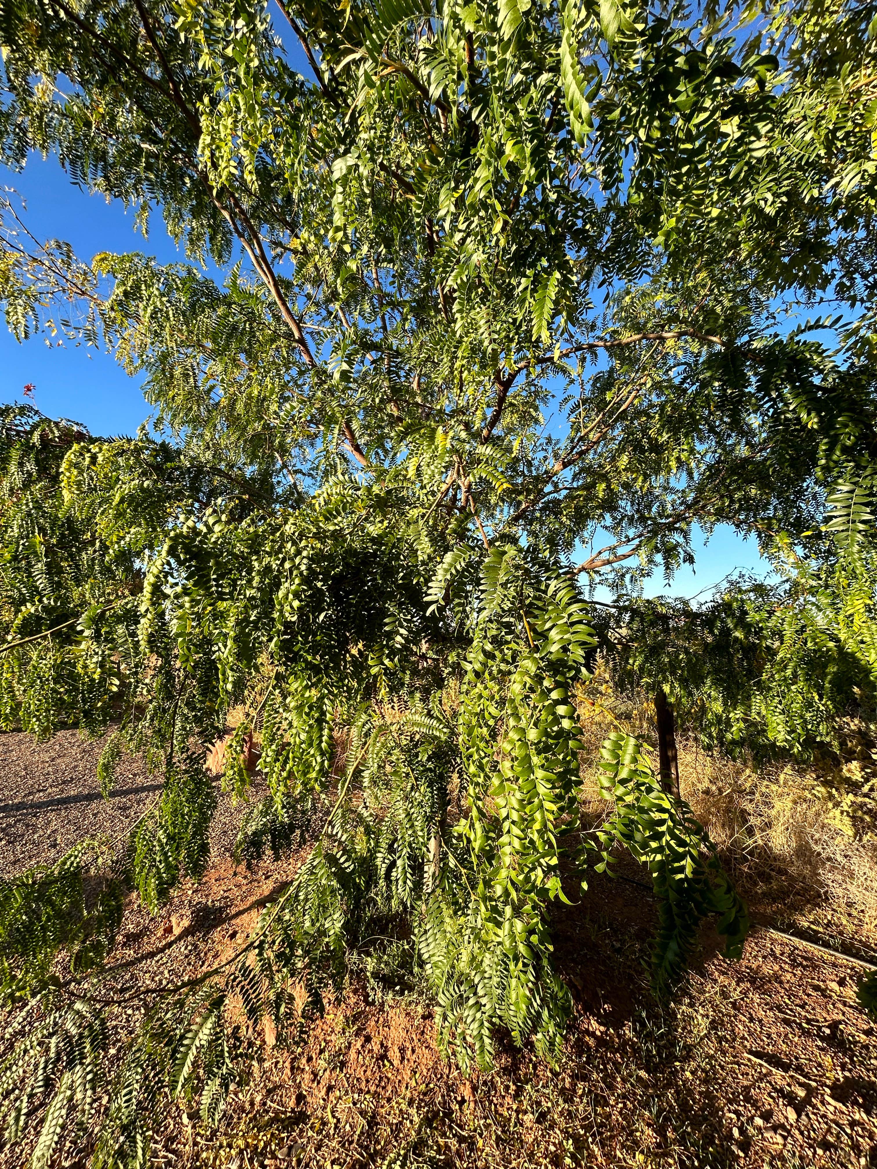 Camper-submitted photo at Blue Mountain RV Park near Blanding, UT