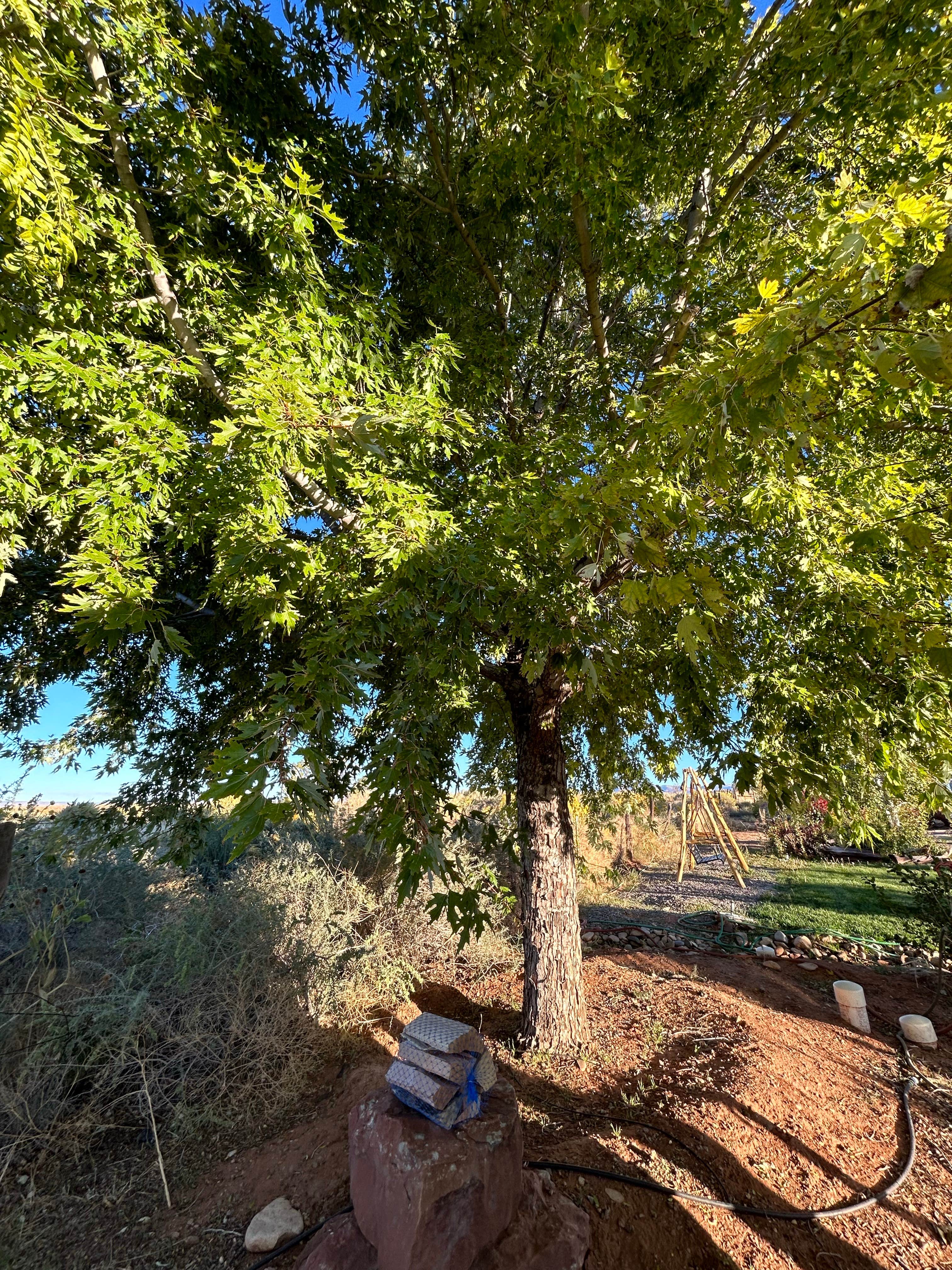 Camper-submitted photo at Blue Mountain RV Park near Blanding, UT