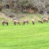 Review photo of Blue Mountain RV Park by Morhia M., August 24, 2026