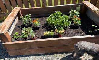 Morhia M.'s photo of camping with pets at Blue Mountain RV Park near Stryker, MT