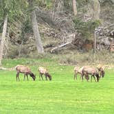 Review photo of Blue Mountain RV Park by Morhia M., August 24, 2026