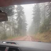 Review photo of Blue Mountain Forest Rd 365 - Dispersed by Ady , July 5, 2025