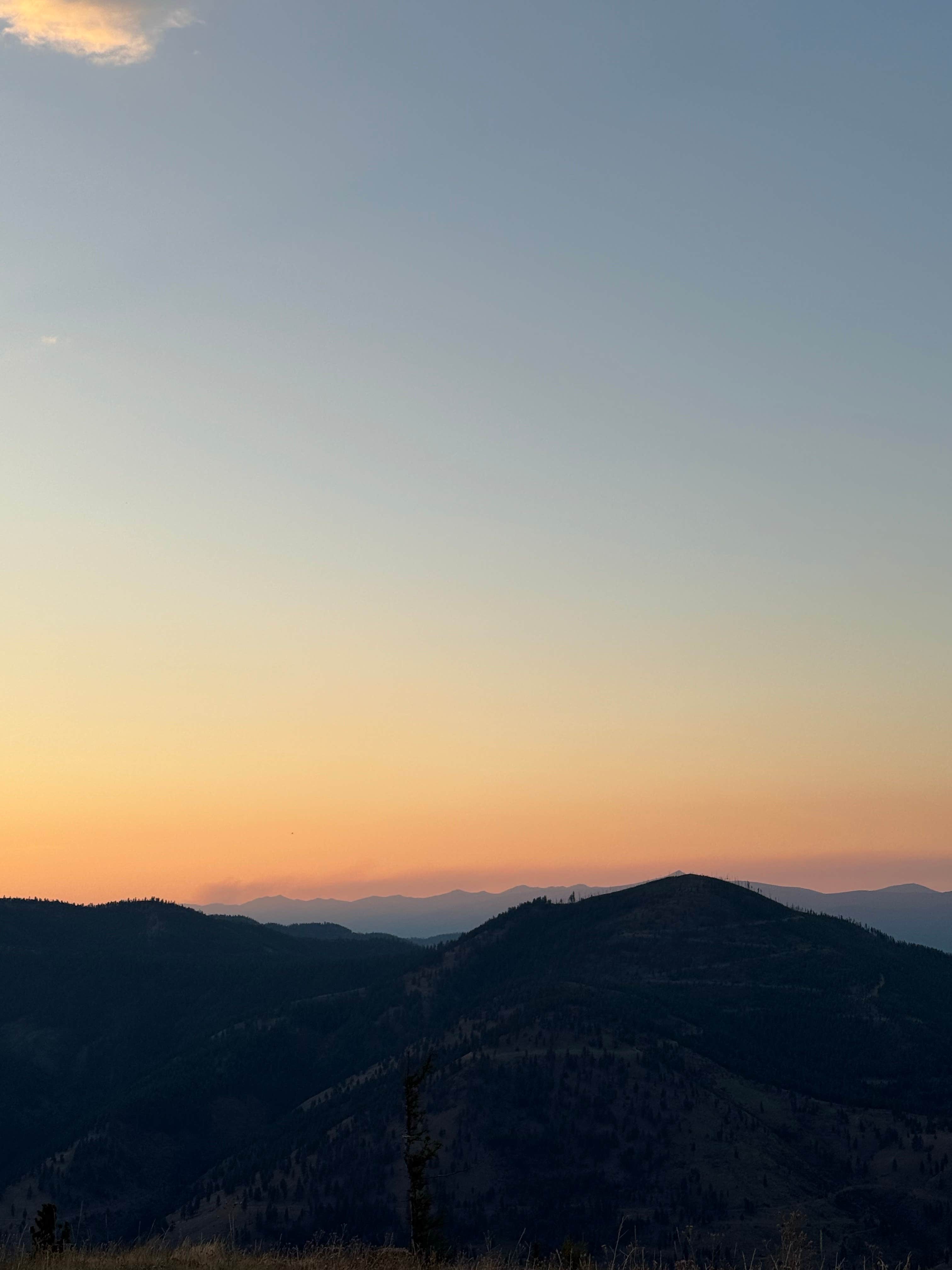 Camper-submitted photo at Blue Mountain Forest Rd 365 - Dispersed near Lolo, MT