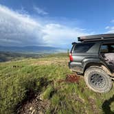 Review photo of Blue Mountain Forest Rd 365 - Dispersed by Josh M., May 30, 2026
