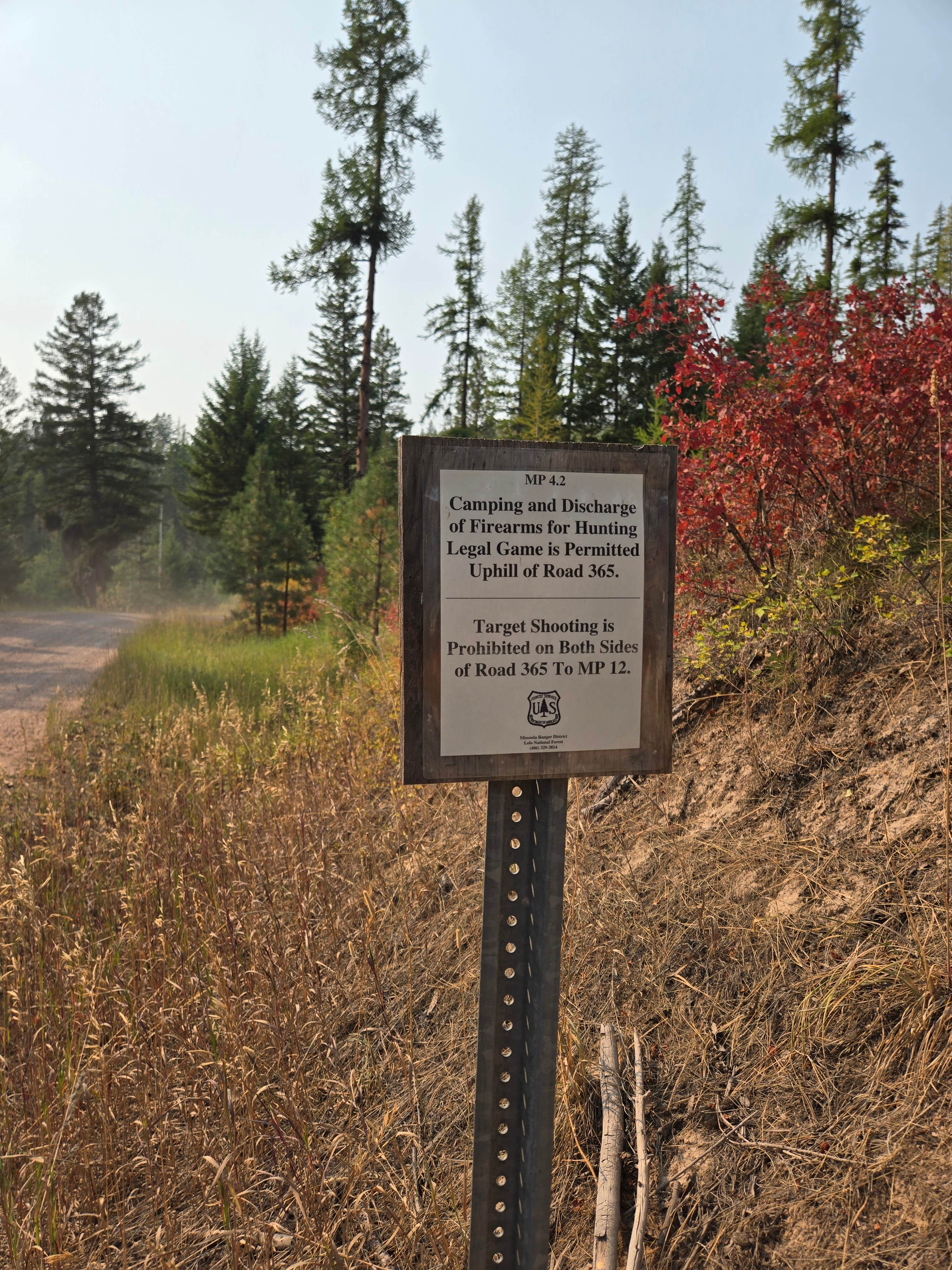 Camper-submitted photo at Blue Mountain Forest Rd 365 - Dispersed near Lolo, MT